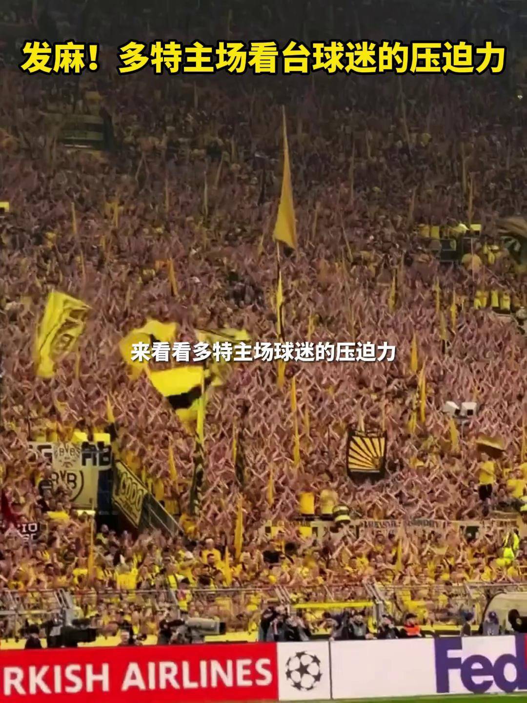 多特蒙德队长疑似受伤，球迷担心战况的简单介绍