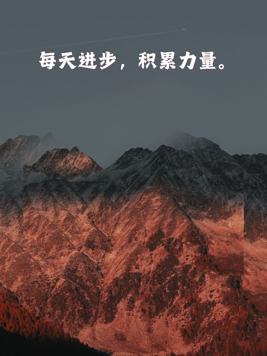 里尔夺冠在望，一路坚持努力追逐梦想的简单介绍
