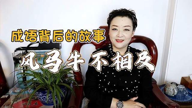 太阳客场风马牛不相及，遭遇失利的简单介绍